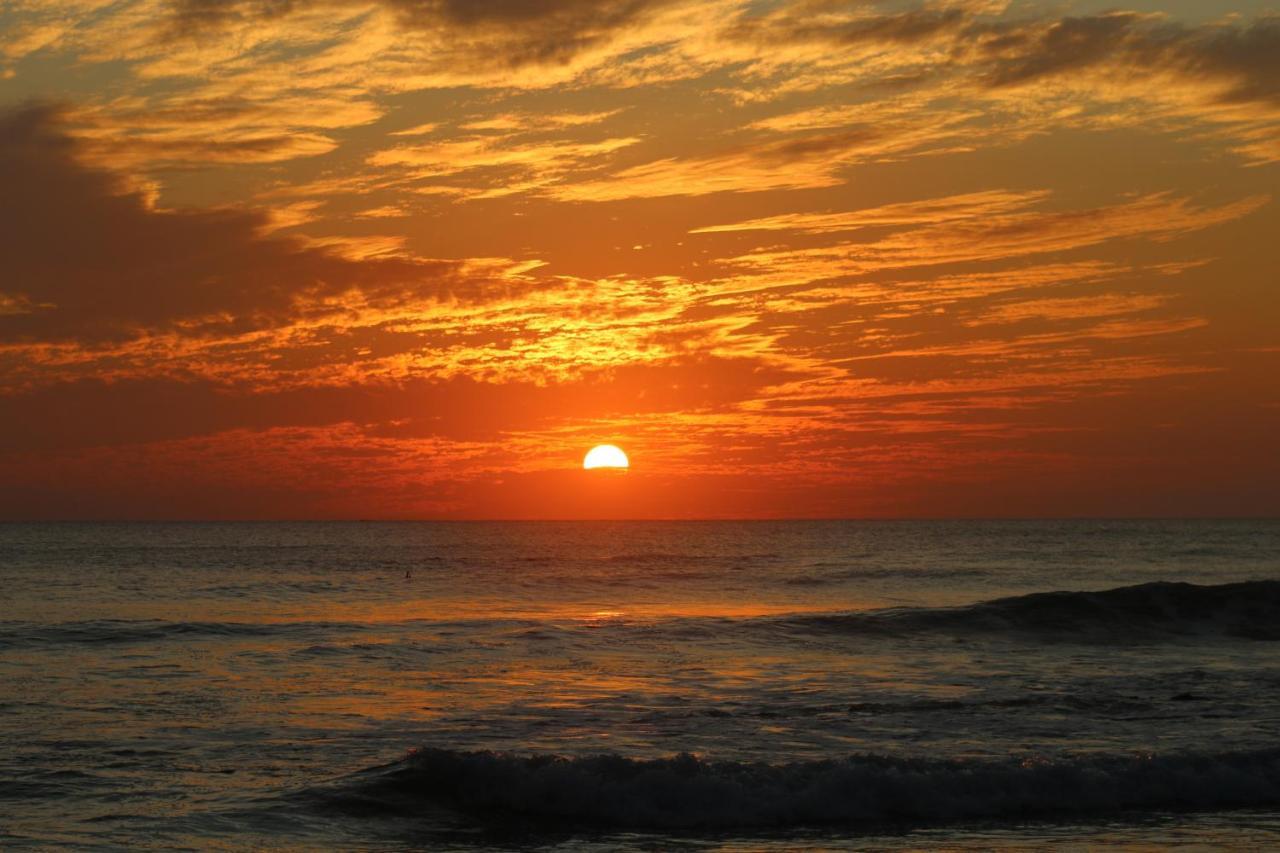 El Gato Rojas Surf Hostel Playa Santa Teresa  Εξωτερικό φωτογραφία