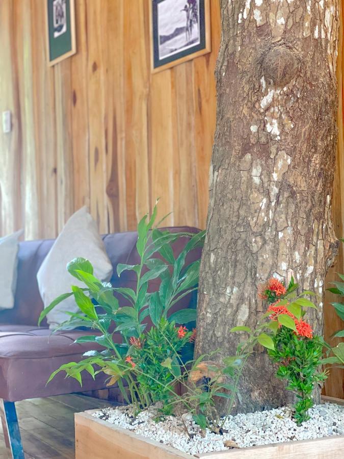 El Gato Rojas Surf Hostel Playa Santa Teresa  Εξωτερικό φωτογραφία