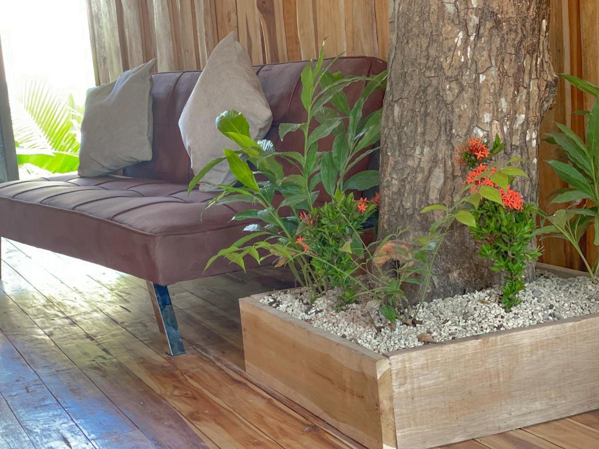 El Gato Rojas Surf Hostel Playa Santa Teresa  Εξωτερικό φωτογραφία