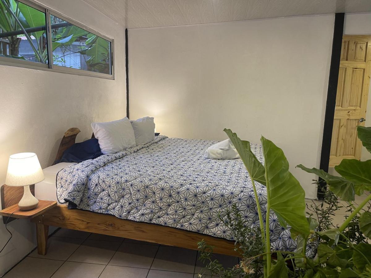 El Gato Rojas Surf Hostel Playa Santa Teresa  Εξωτερικό φωτογραφία