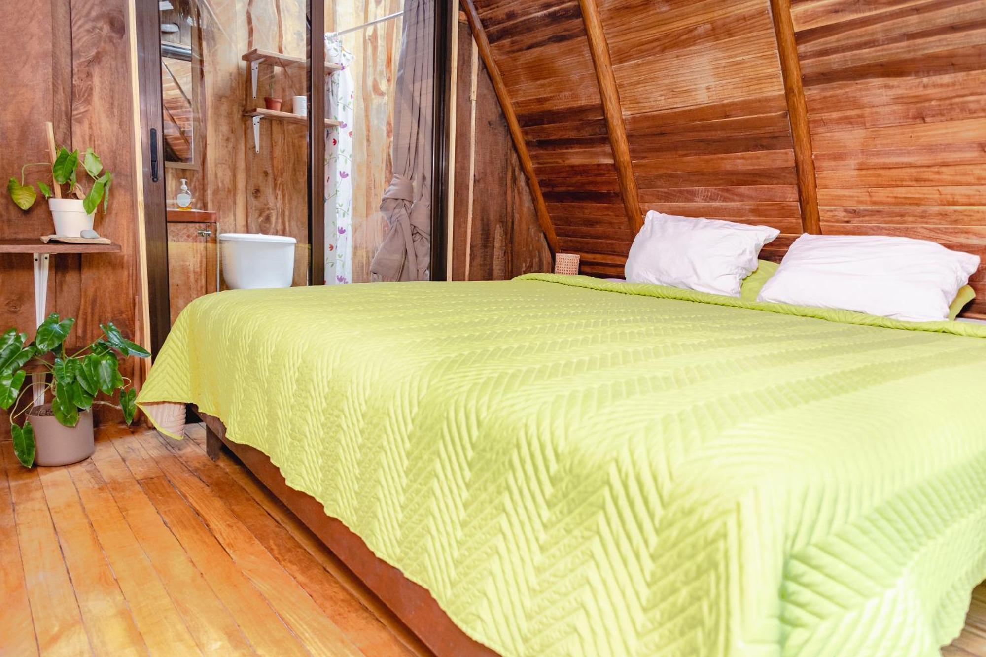 El Gato Rojas Surf Hostel Playa Santa Teresa  Εξωτερικό φωτογραφία